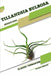 Tillandsia bulbosa: Closed terrarium, Beginner's Guide by Tetiana Sabanen