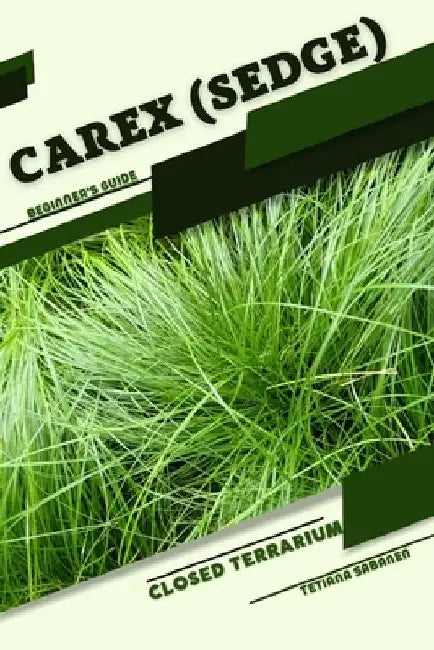 Carex (Sedge): Closed terrarium, Beginner's Guide by Tetiana Sabanen