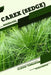 Carex (Sedge): Closed terrarium, Beginner's Guide by Tetiana Sabanen