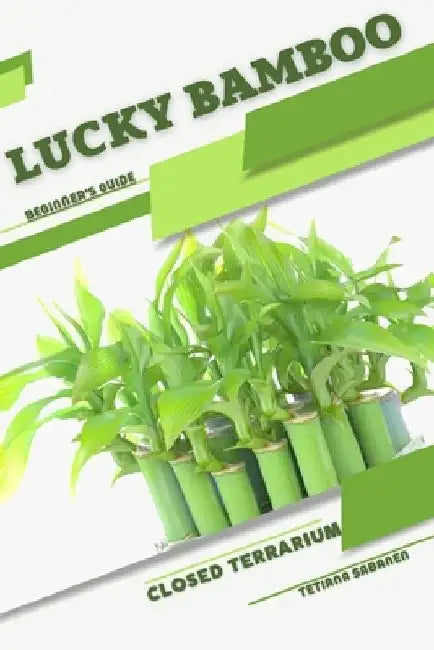 Lucky Bamboo: Closed terrarium, Beginner's Guide by Tetiana Sabanen