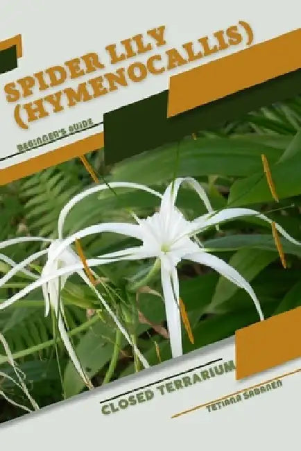 Spider Lily (Hymenocallis): Closed terrarium, Beginner's Guide by Tetiana Sabanen