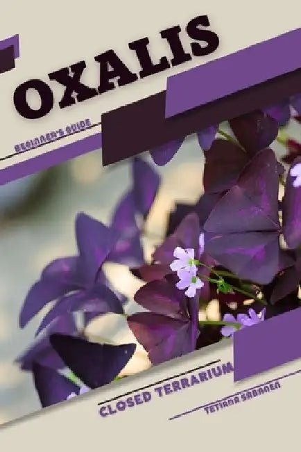 Oxalis: Closed terrarium, Beginner's Guide by Tetiana Sabanen