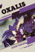 Oxalis: Closed terrarium, Beginner's Guide by Tetiana Sabanen