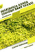 Soleirolia Aurea (Golden Baby Tears): Closed terrarium, Beginner's Guide by Tetiana Sabanen
