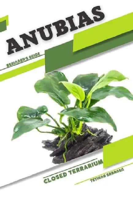 Anubias: Closed terrarium, Beginner's Guide by Tetiana Sabanen