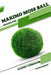 Marimo Moss Ball: Closed terrarium, Beginner's Guide by Tetiana Sabanen