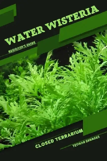 Water Wisteria: Closed terrarium, Beginner's Guide by Tetiana Sabanen