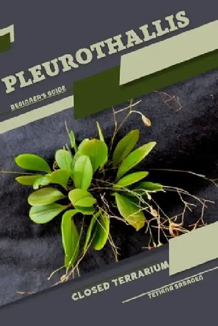 Pleurothallis: Closed terrarium, Beginner's Guide by Tetiana Sabanen