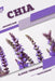 Chia: Closed terrarium, Beginner's Guide by Tetiana Sabanen
