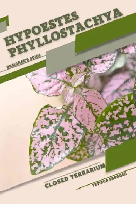 Hypoestes phyllostachya: Closed terrarium, Beginner's Guide by Tetiana Sabanen