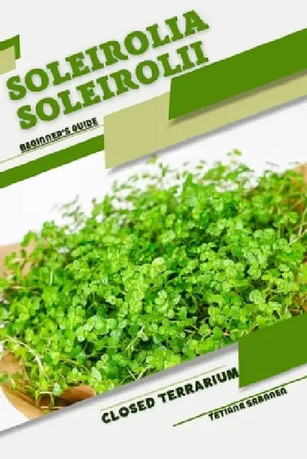 Soleirolia soleirolii: Closed terrarium, Beginner's Guide by Tetiana Sabanen