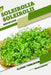 Soleirolia soleirolii: Closed terrarium, Beginner's Guide by Tetiana Sabanen