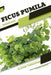 Ficus pumila: Closed terrarium, Beginner's Guide by Tetiana Sabanen