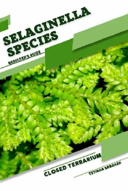 Selaginella Species: Closed terrarium, Beginner's Guide by Tetiana Sabanen