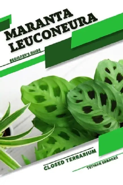 Maranta leuconeura: Closed terrarium, Beginner's Guide by Tetiana Sabanen