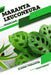 Maranta leuconeura: Closed terrarium, Beginner's Guide by Tetiana Sabanen
