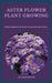 Aster Flower Plant Growing: Healthy Beginners Methods For Growing Aster Flowers by Colson Emony