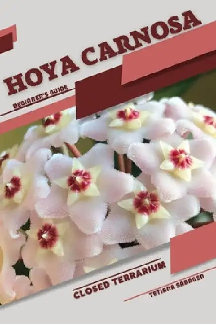 Hoya carnosa: Closed terrarium, Beginner's Guide by Tetiana Sabanen
