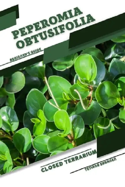Peperomia obtusifolia: Closed terrarium, Beginner's Guide by Tetiana Sabanen