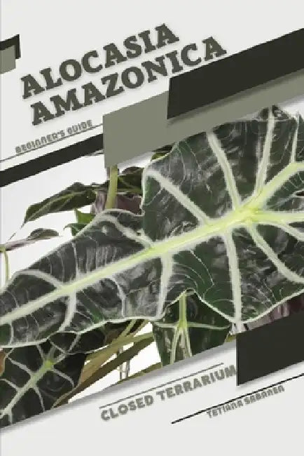 Alocasia amazonica: Closed terrarium, Beginner's Guide by Tetiana Sabanen