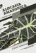 Alocasia amazonica: Closed terrarium, Beginner's Guide by Tetiana Sabanen
