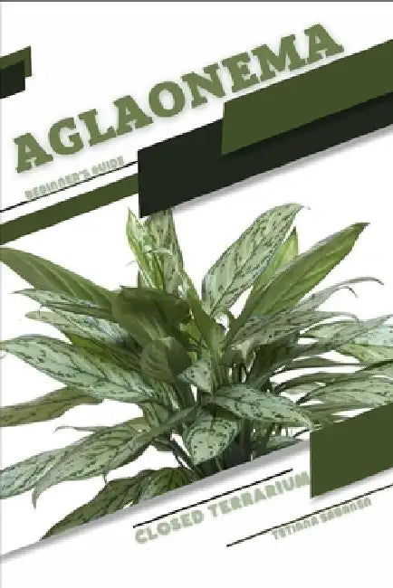 Aglaonema: Closed terrarium, Beginner's Guide by Tetiana Sabanen