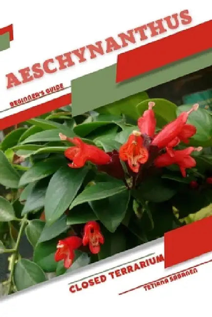 Aeschynanthus: Closed terrarium, Beginner's Guide by Tetiana Sabanen