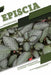 Episcia: Closed terrarium, Beginner's Guide by Tetiana Sabanen
