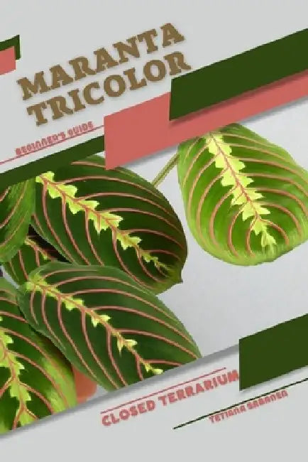 Maranta tricolor: Closed terrarium, Beginner's Guide by Tetiana Sabanen