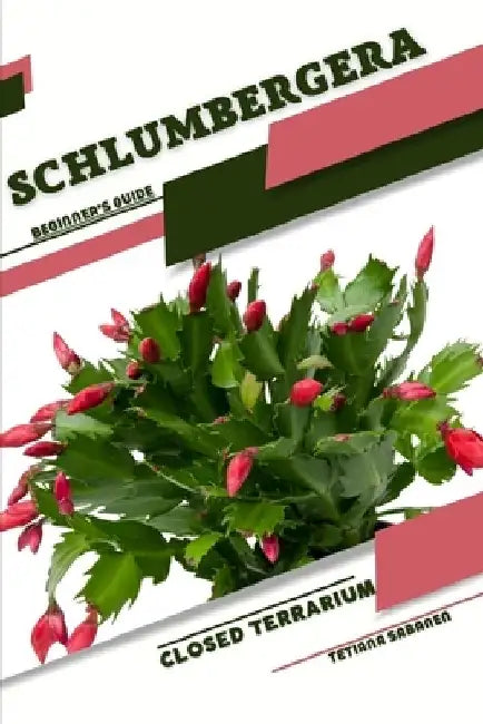 Schlumbergera: Closed terrarium, Beginner's Guide by Tetiana Sabanen