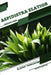 Aspidistra elatior: Closed terrarium, Beginner's Guide by Tetiana Sabanen
