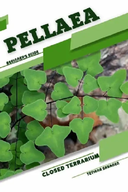 Pellaea: Closed terrarium, Beginner's Guide by Tetiana Sabanen