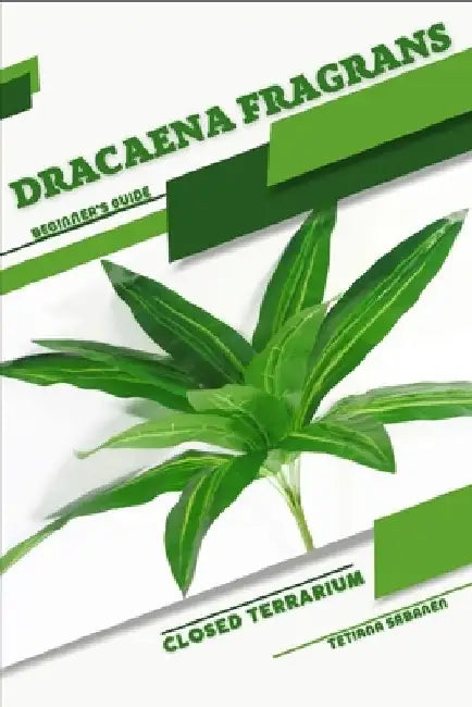 Dracaena fragrans: Closed terrarium, Beginner's Guide by Tetiana Sabanen