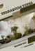 Terrarium Types: Beginner's Guide by Tetiana Sabanen