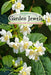Garden Jewels: The Comprehensive Guide to Ornamental Planting. (Flowering Plants) by Sia Waheedy