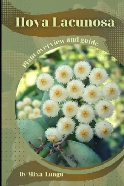 Hoya Lacunosa: Plant overview and guide by Mixa Lungu