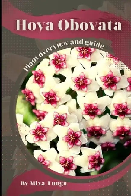 Hoya Obovata: Plant overview and guide by Mixa Lungu