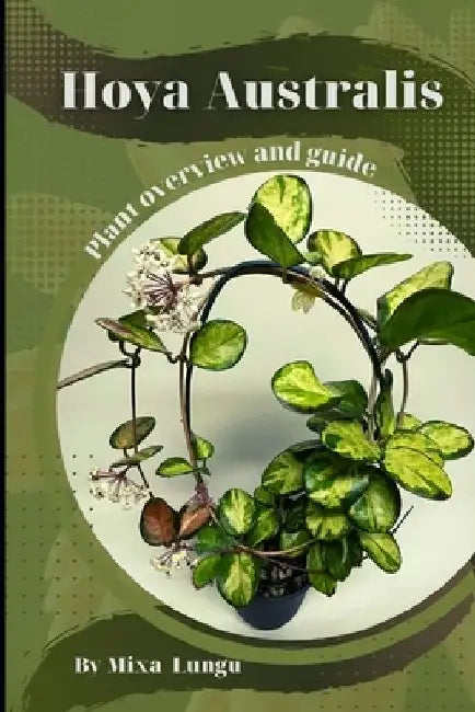 Hoya Australis: Plant overview and guide by Mixa Lungu