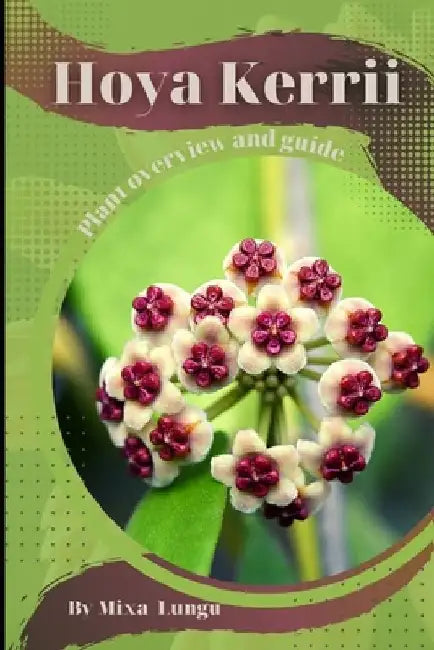 Hoya Kerrii: Plant overview and guide by Mixa Lungu