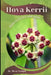 Hoya Kerrii: Plant overview and guide by Mixa Lungu