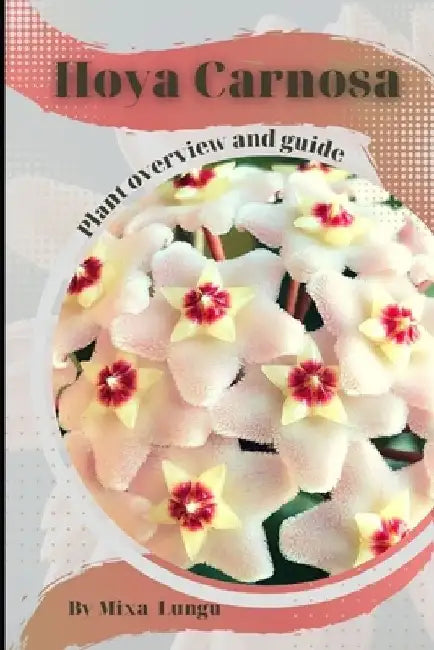 Hoya Carnosa: Plant overview and guide by Mixa Lungu