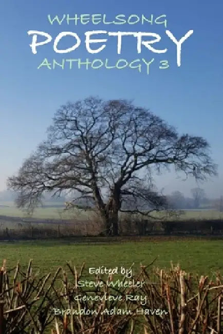 Wheelsong Poetry Anthology 3 by Steve Wheeler