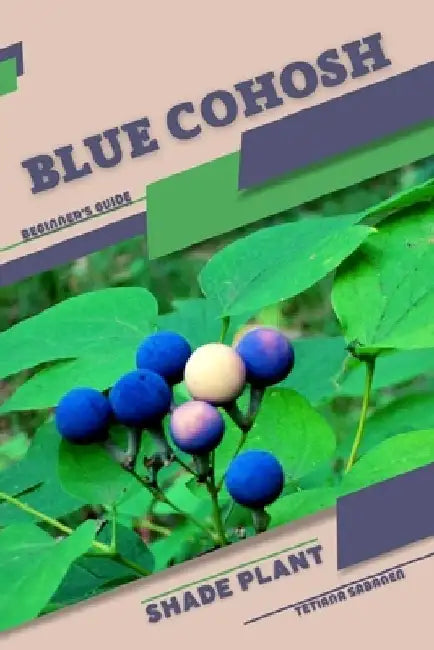 Blue Cohosh: Shade plant Beginner's Guide by Tetiana Sabanen