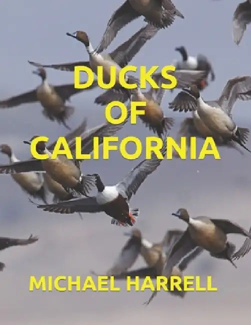 Ducks of California by Michael Harrell