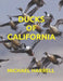 Ducks of California by Michael Harrell
