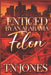 Enticed by an Alabama Felon by Tn Jones