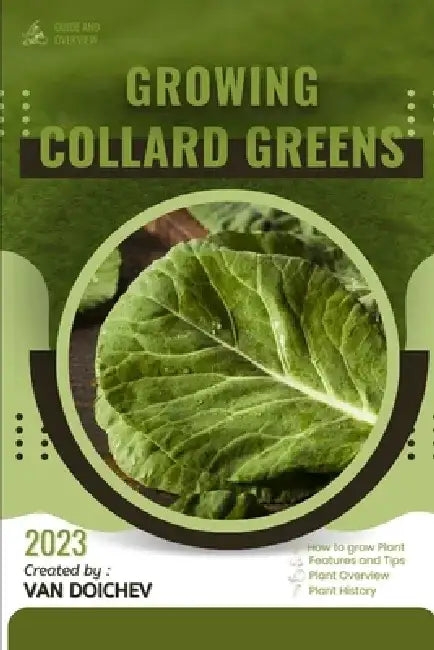 Collard Greens: Guide and overview by Van Doichev