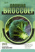 Broccoli: Guide and overview by Van Doichev