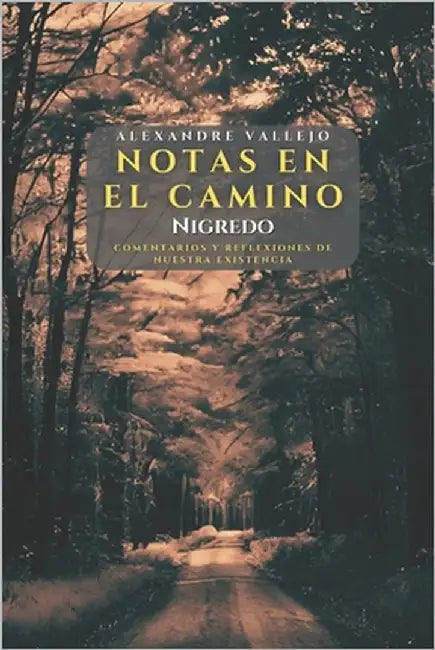 Notas en el camino - Nigredo: Comentarios y reflexiones de nuestra existencia by Vallejo, Alexandre