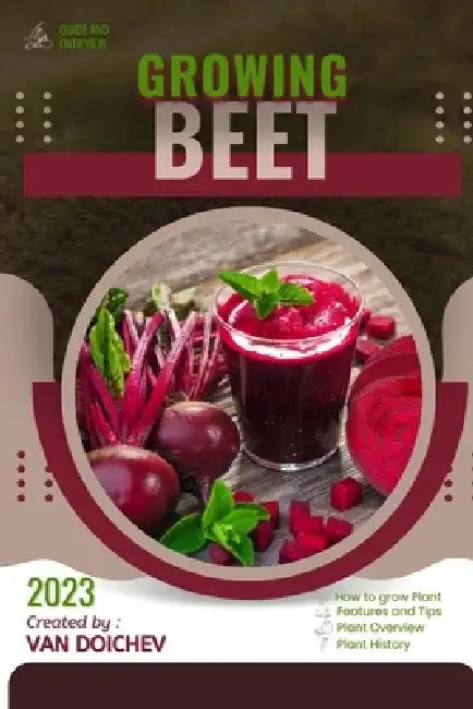 Beet: Guide and overview by Van Doichev